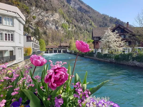 Interlaken 출사지 사진 9