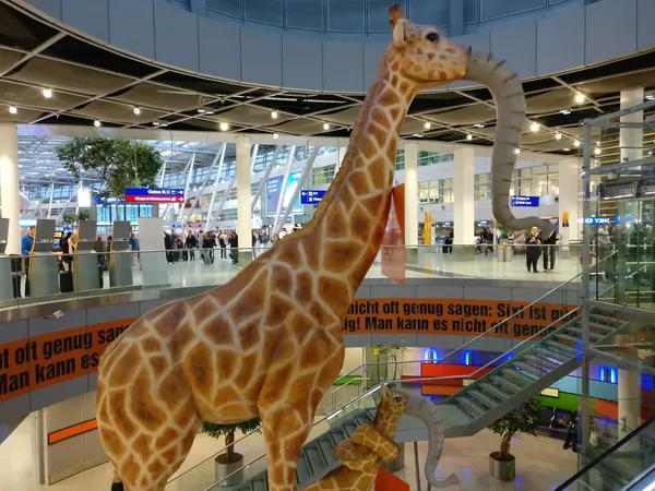 뒤셀도르프 국제공항 출사지 사진 2