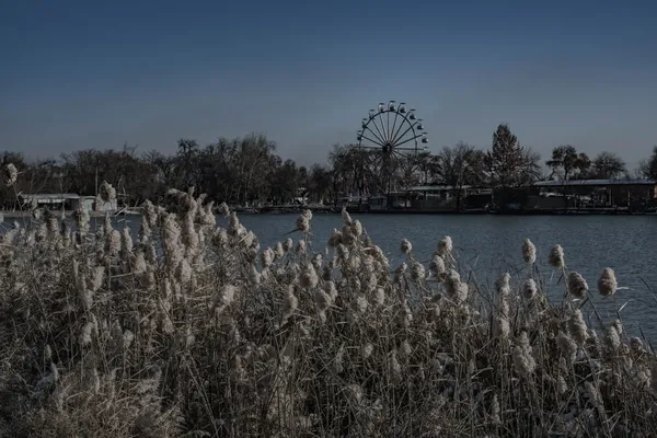 Samonids Recreation Park 출사지 사진