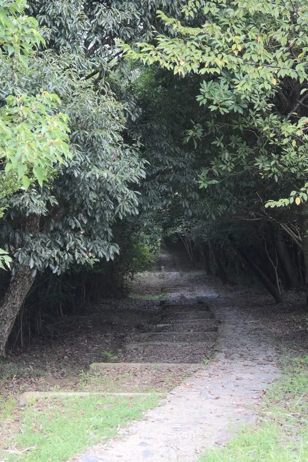 Tsurugiyama Shrine 출사지 사진 3