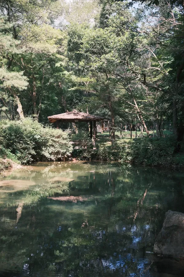 문경새재도립공원 출사지 사진 4