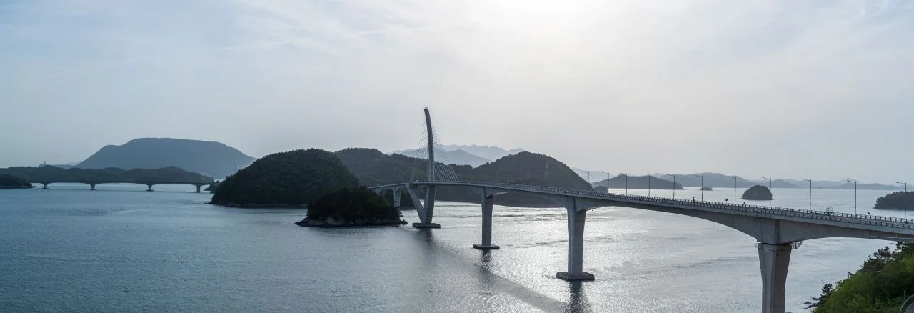사장교