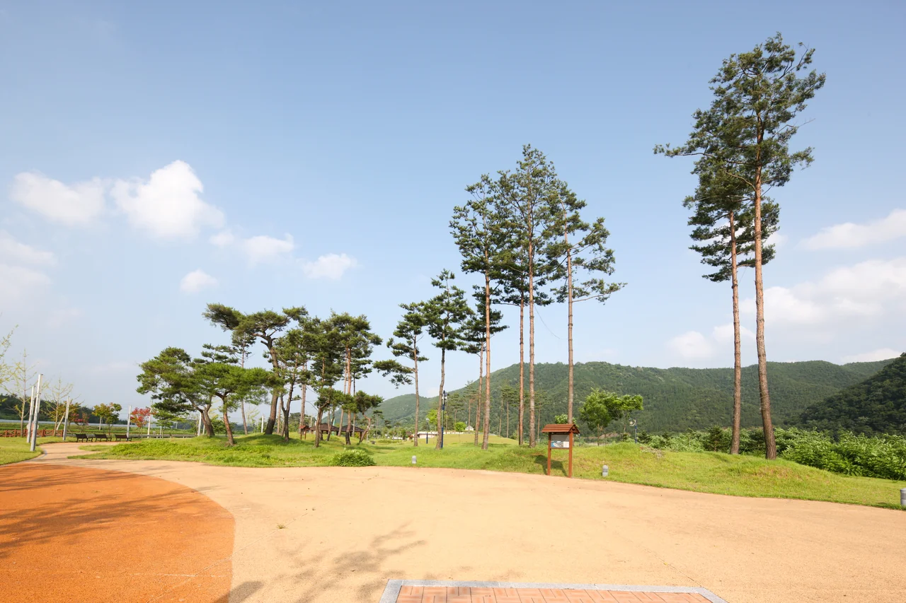 소나무