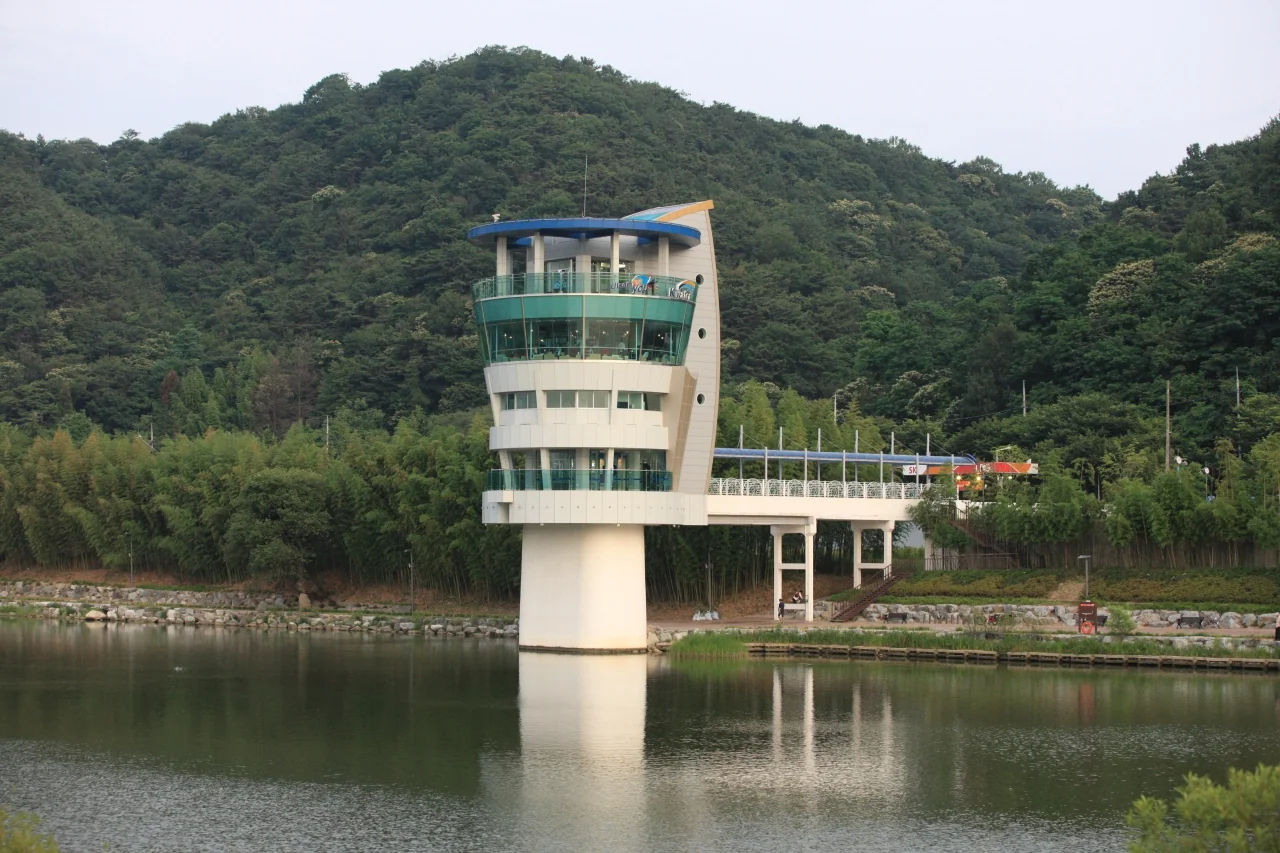 전망대