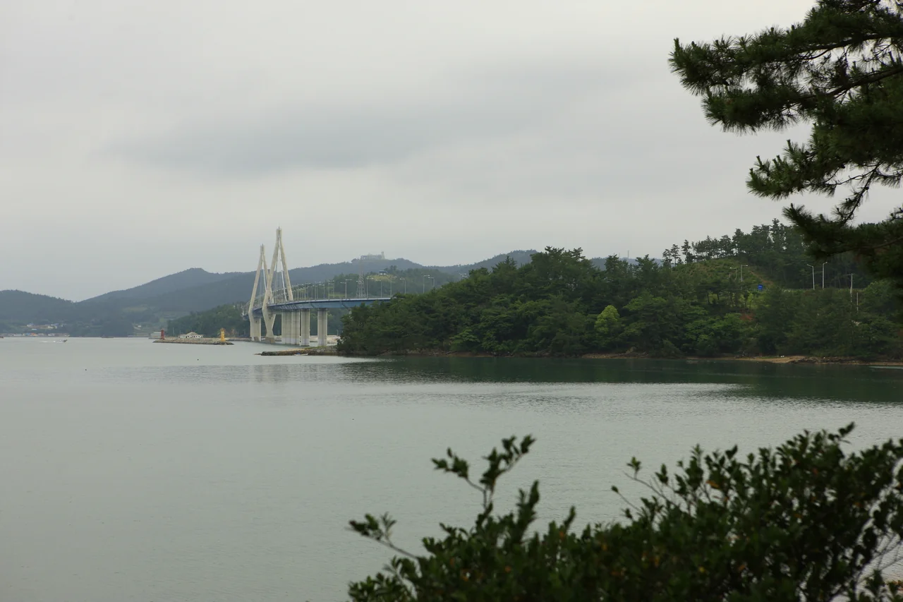 사장교