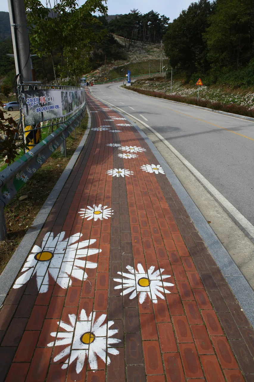 보도