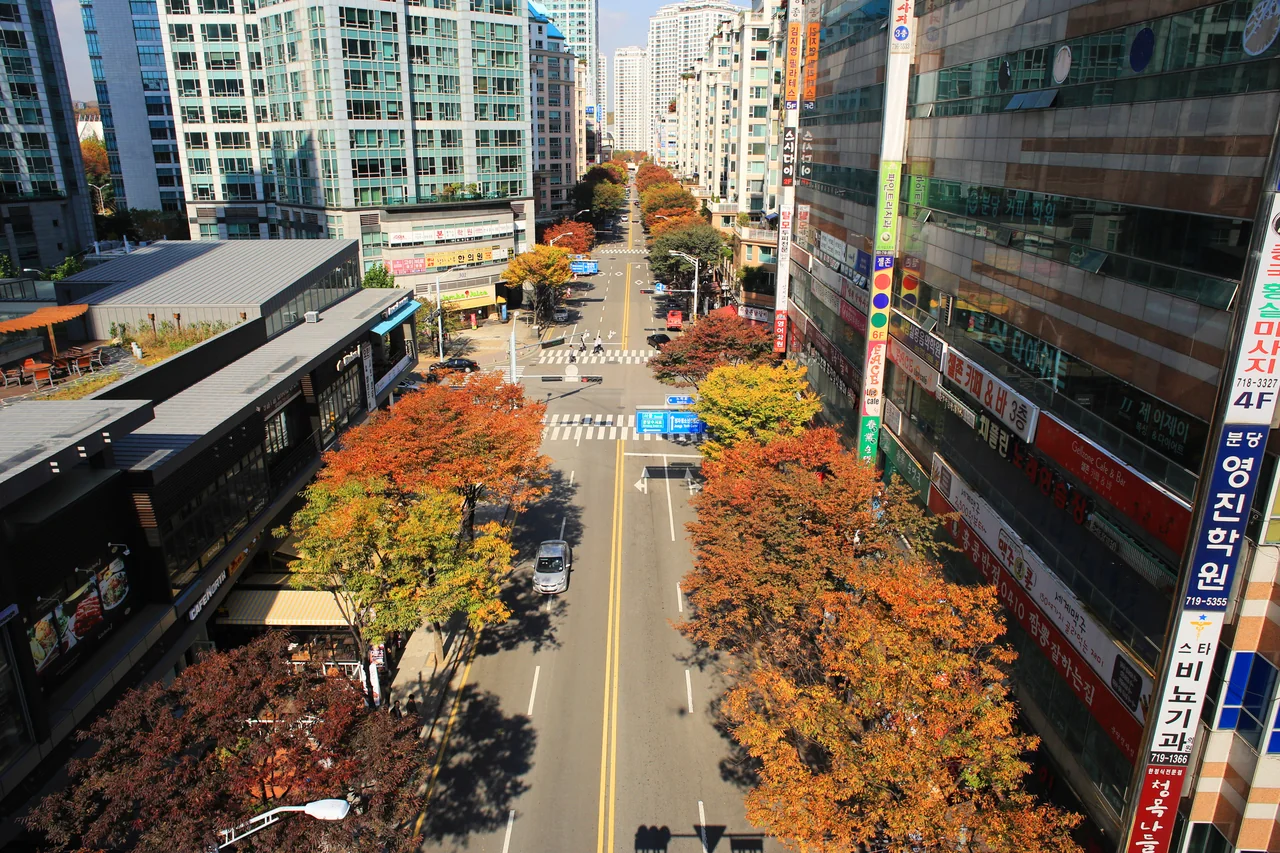 도로