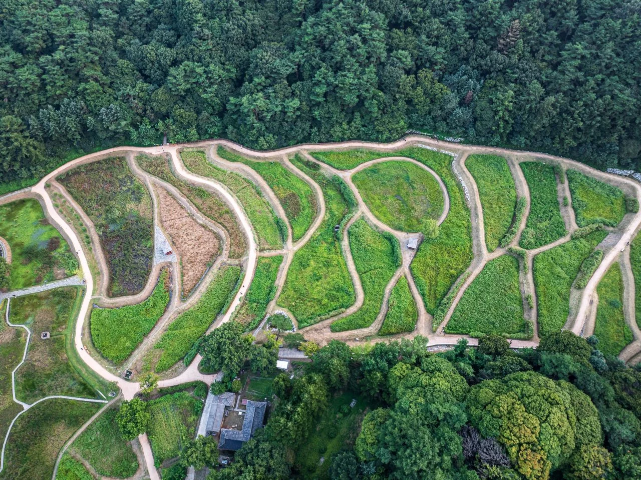 산책로