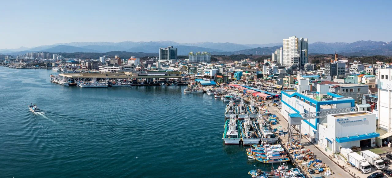 항구