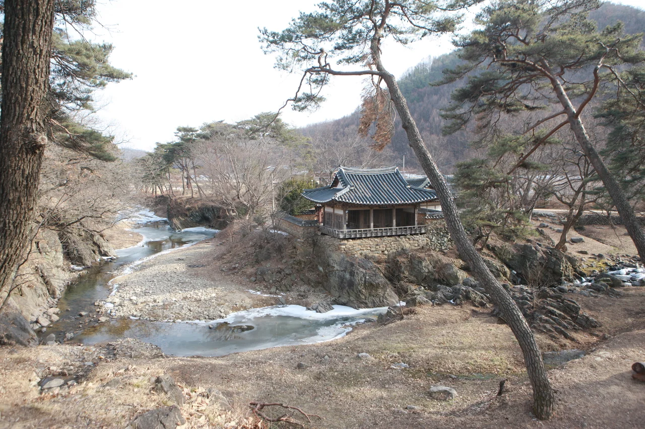 정자
