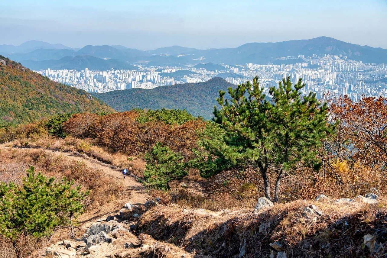 등산로