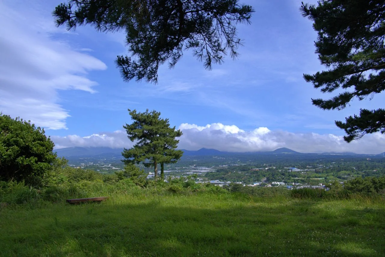 잔디밭