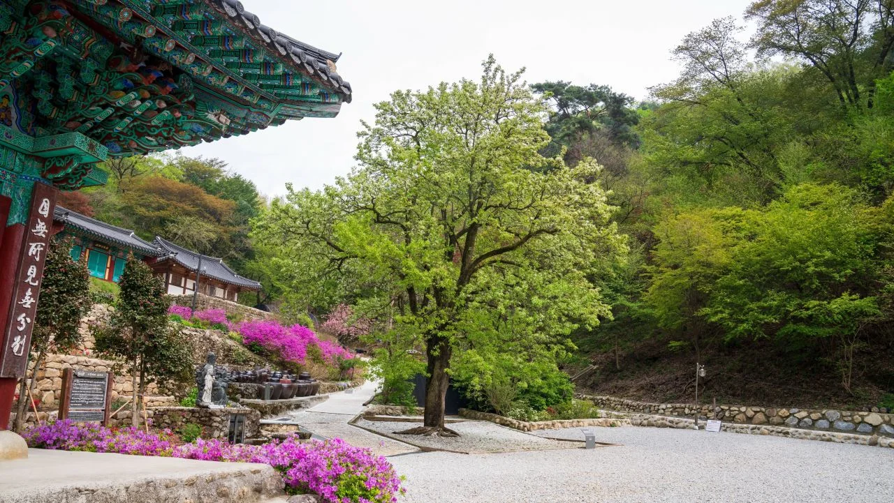 사찰 전각