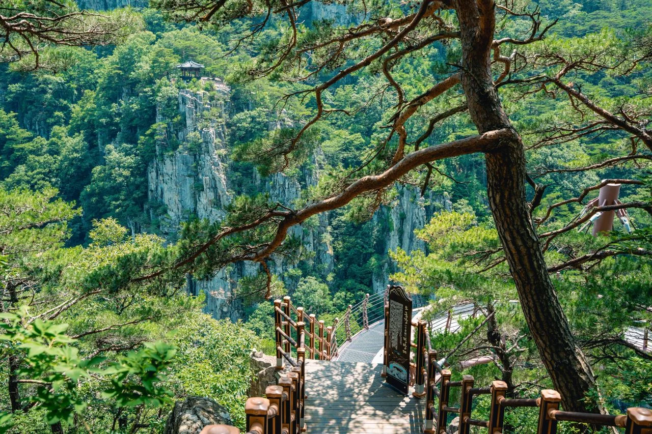 출렁다리