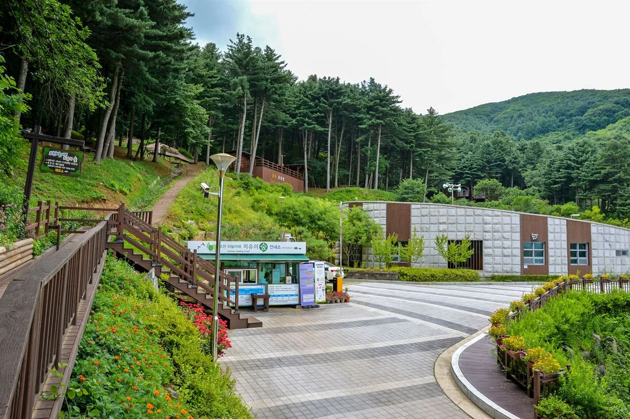 숲길