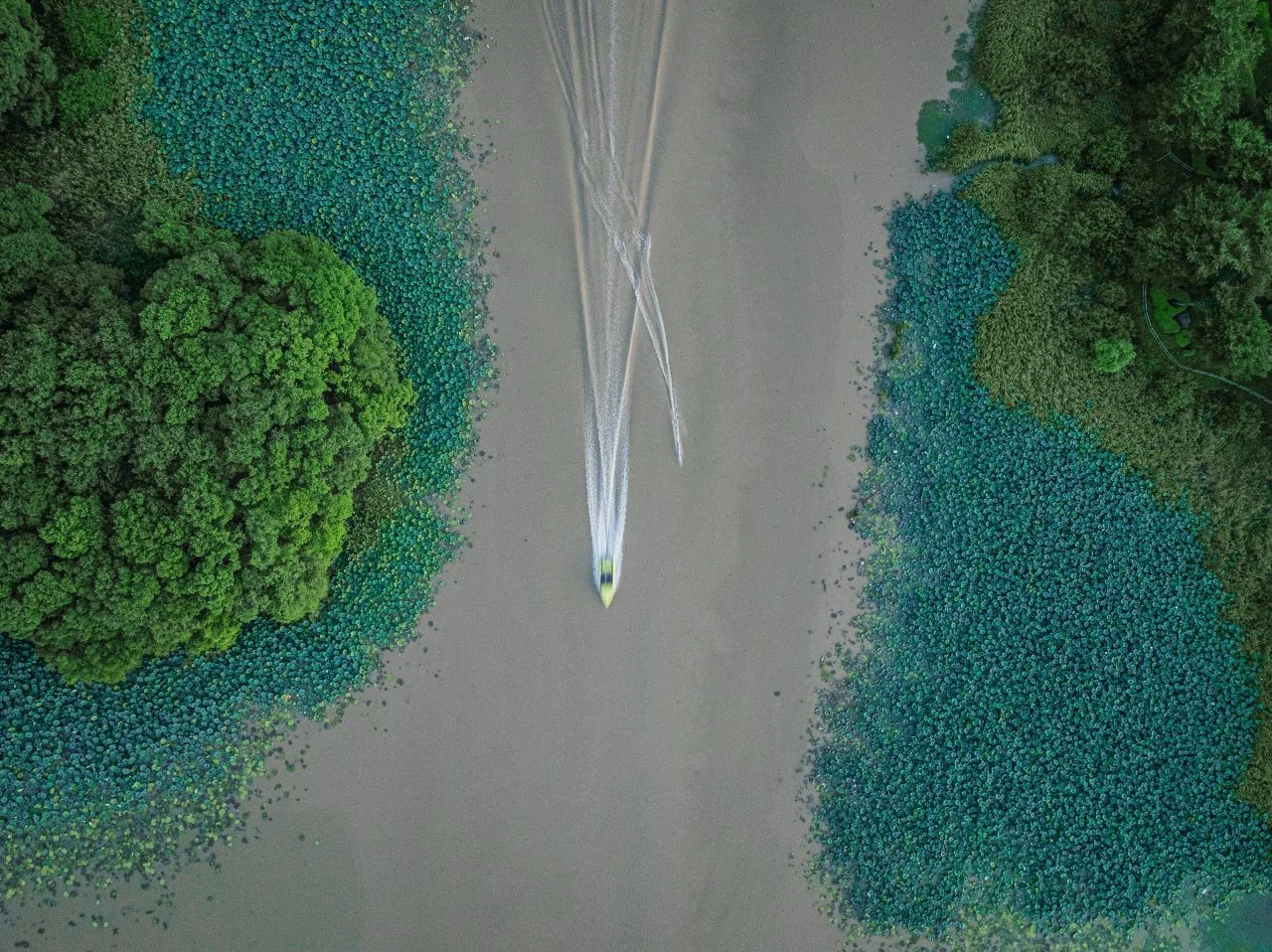 보트