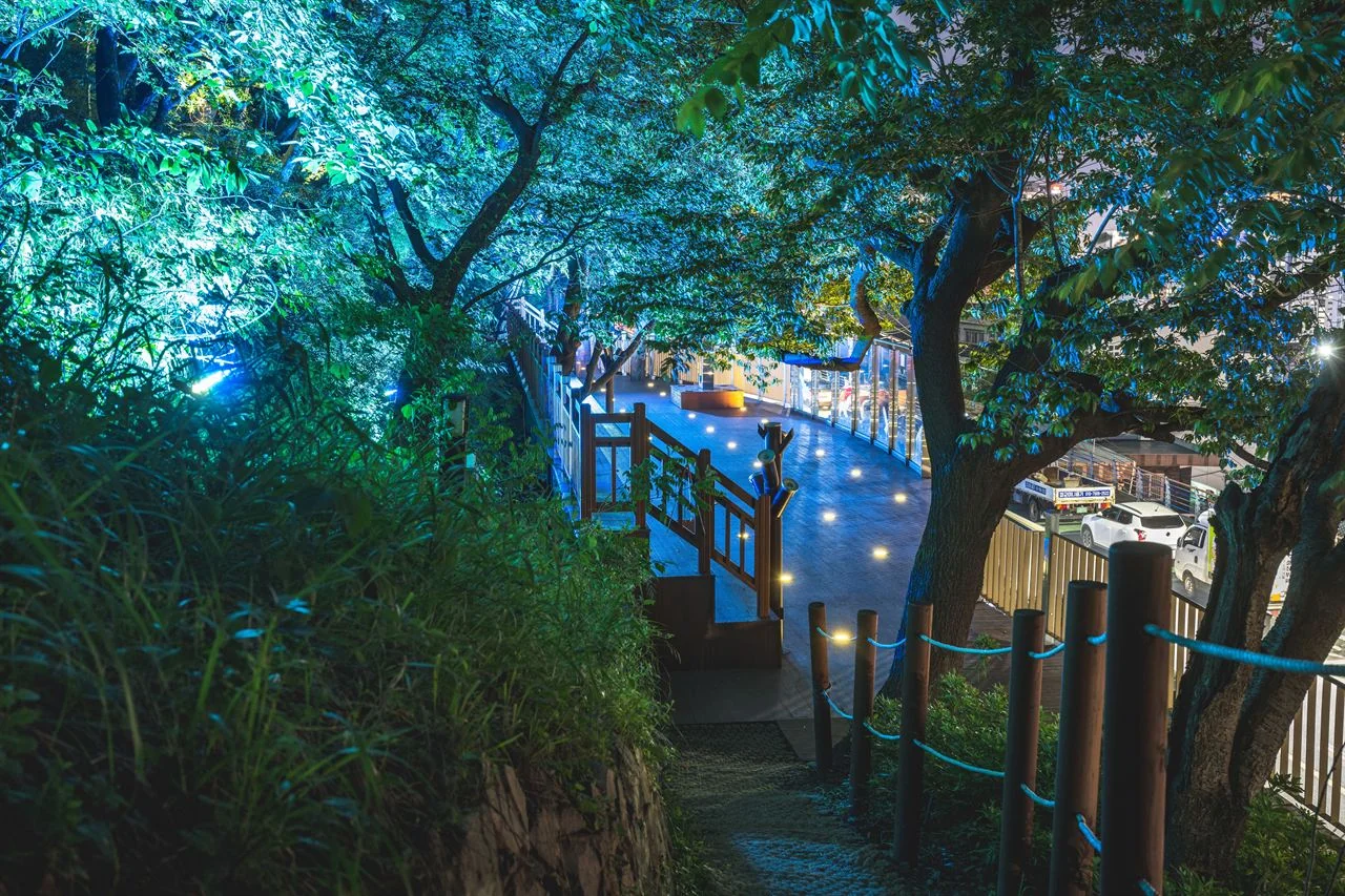 산책로 데크