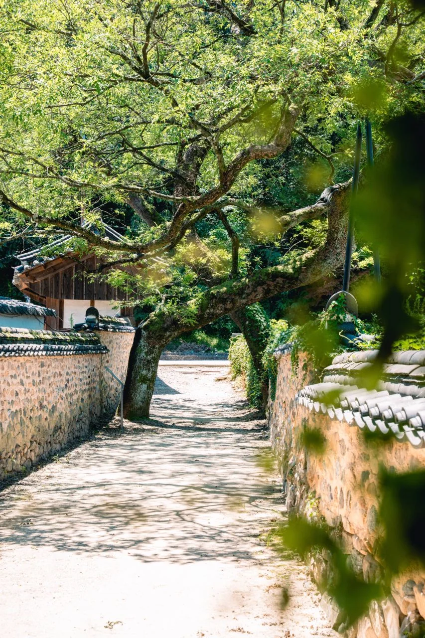 돌담길