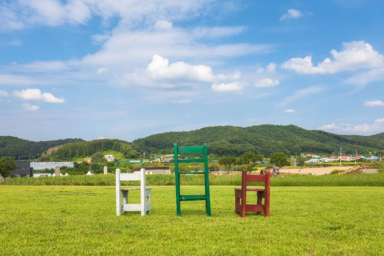 잔디밭