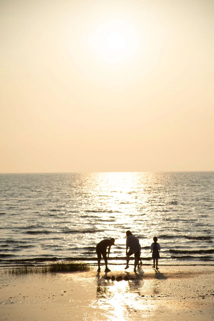 해변