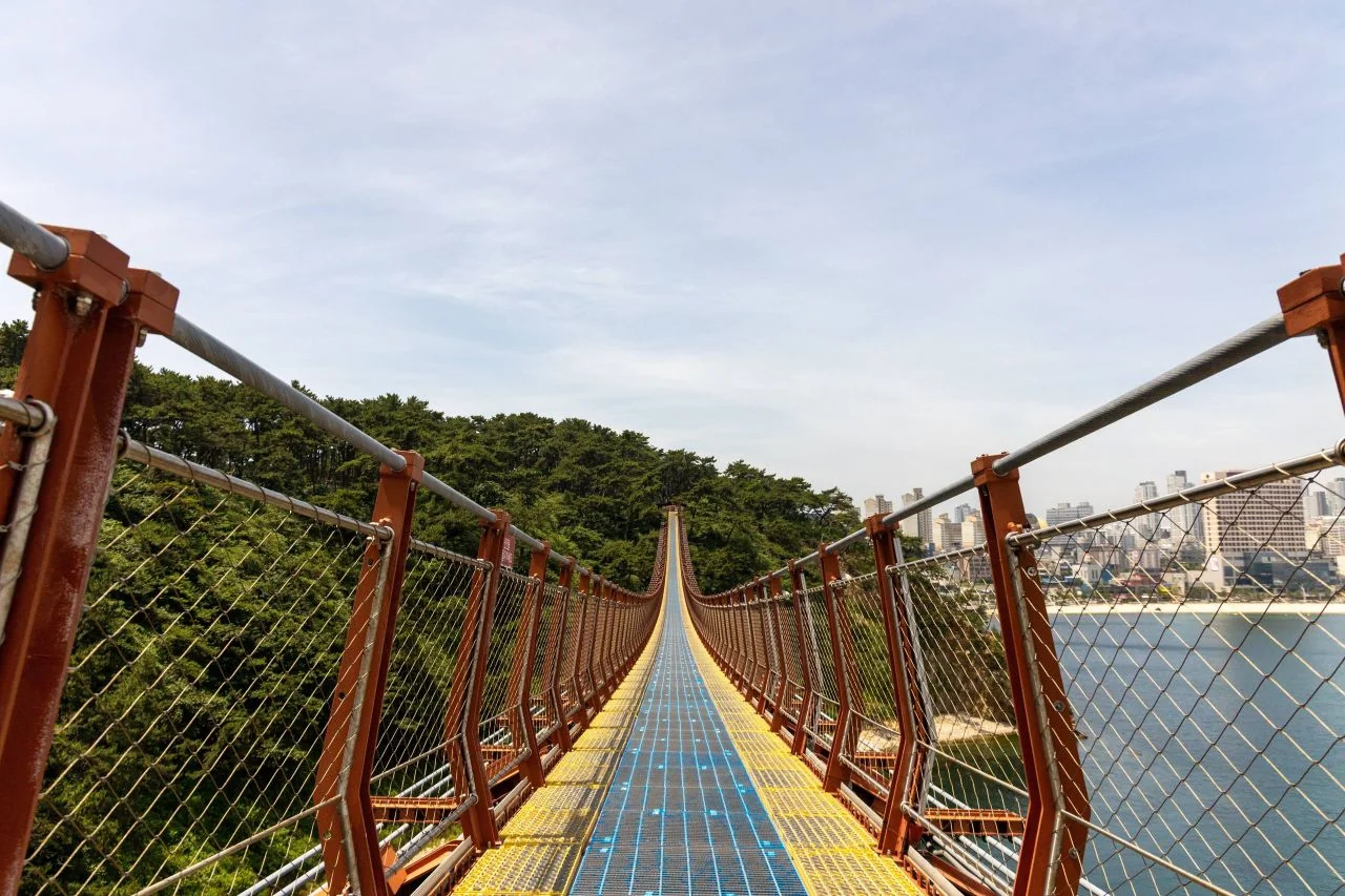 출렁다리