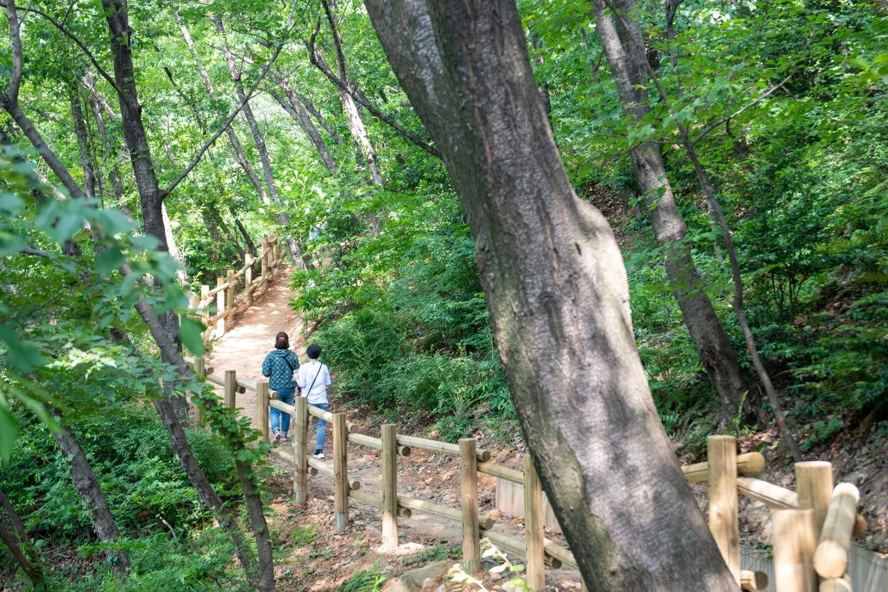 숲길