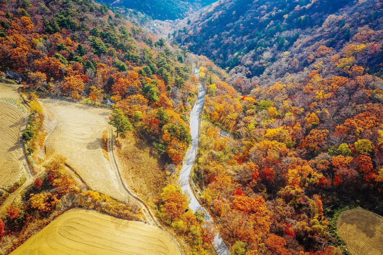 산
