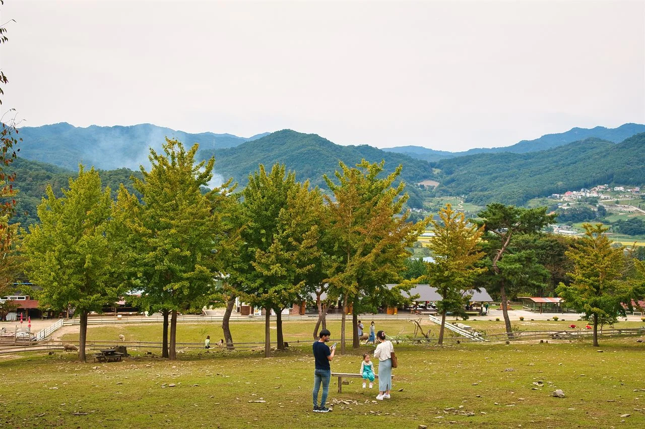 목장 잔디밭