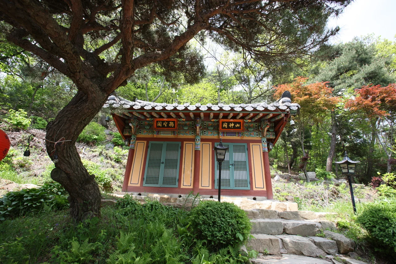 소나무