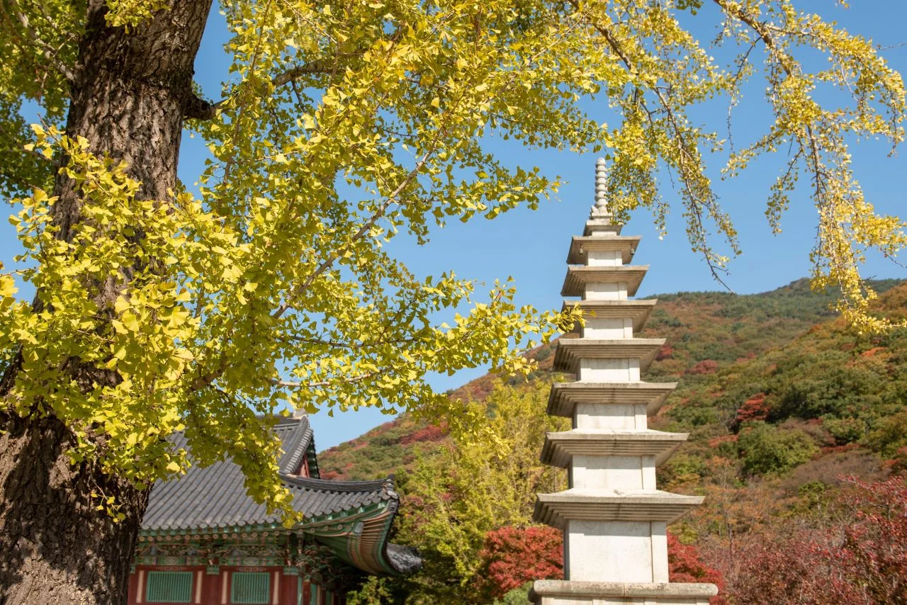 석탑