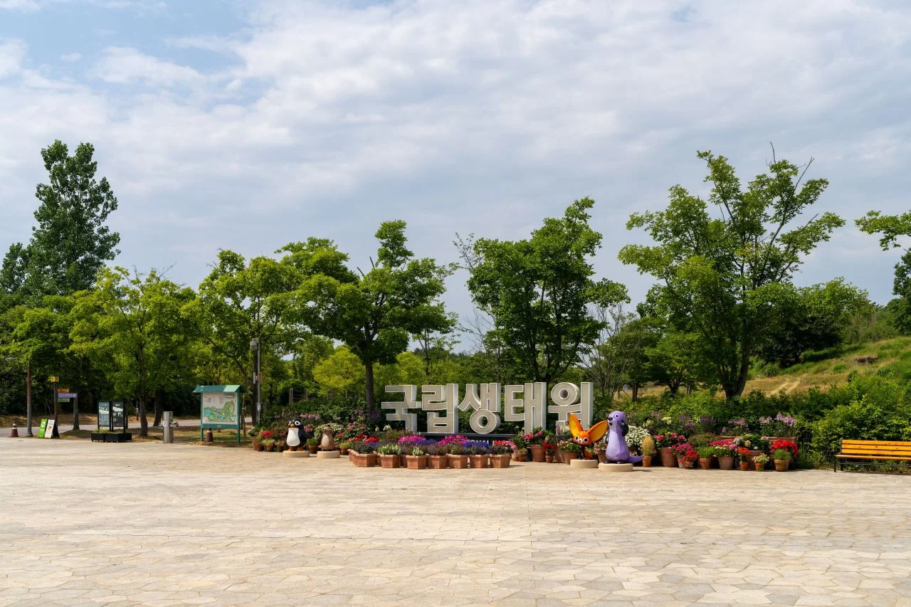 광장