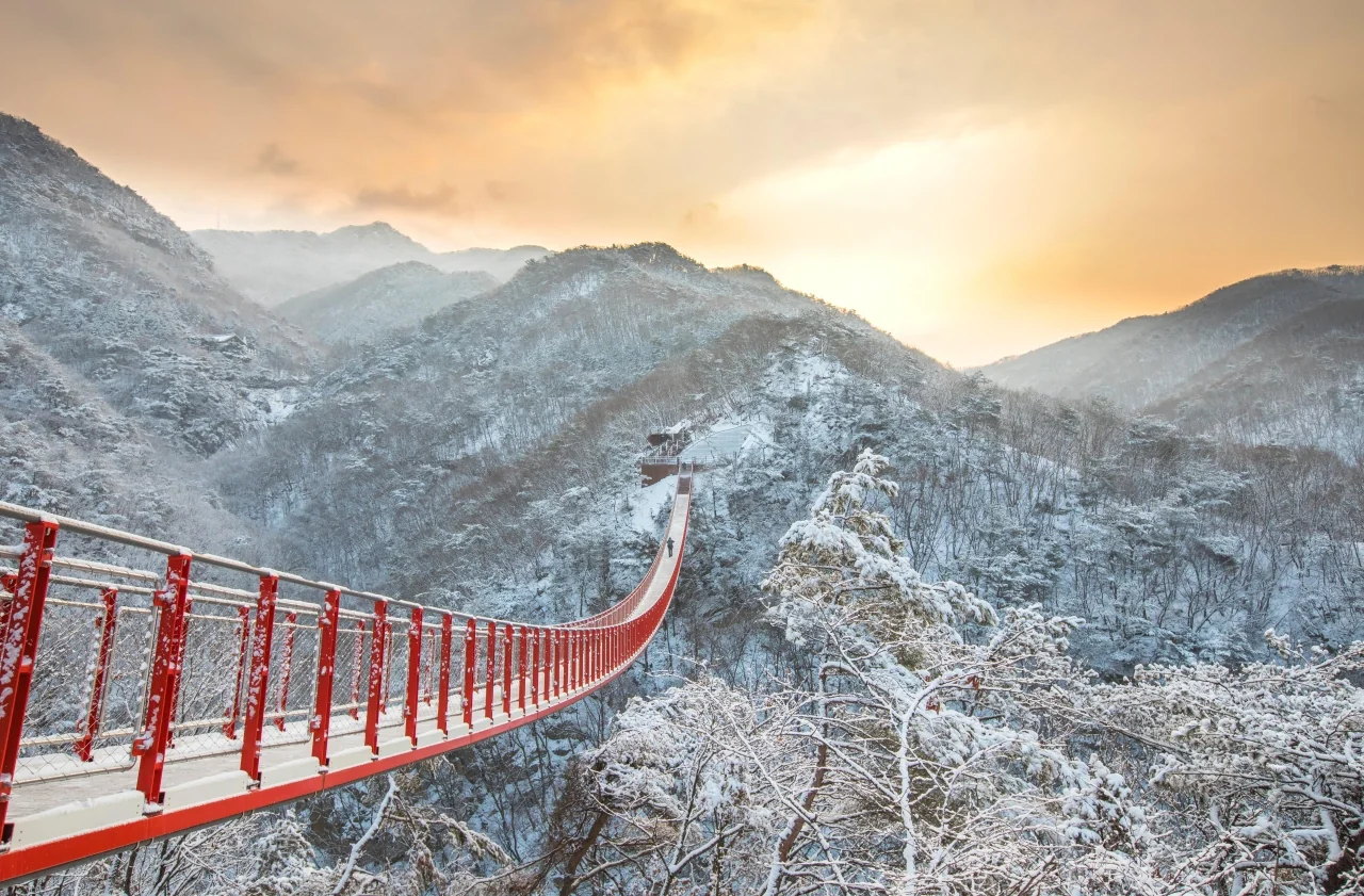 출렁다리