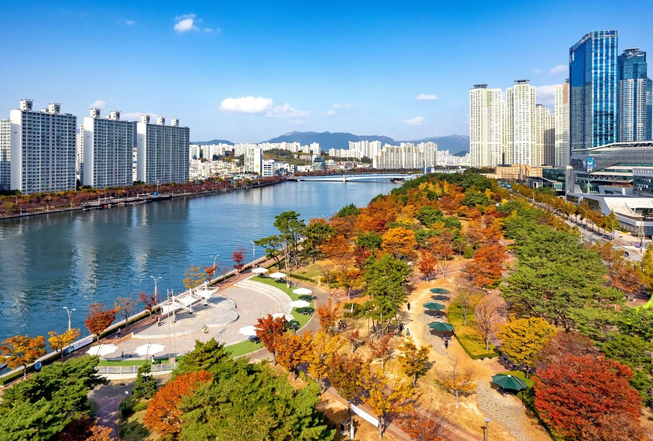 수변공원