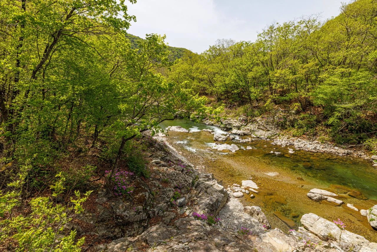 계곡