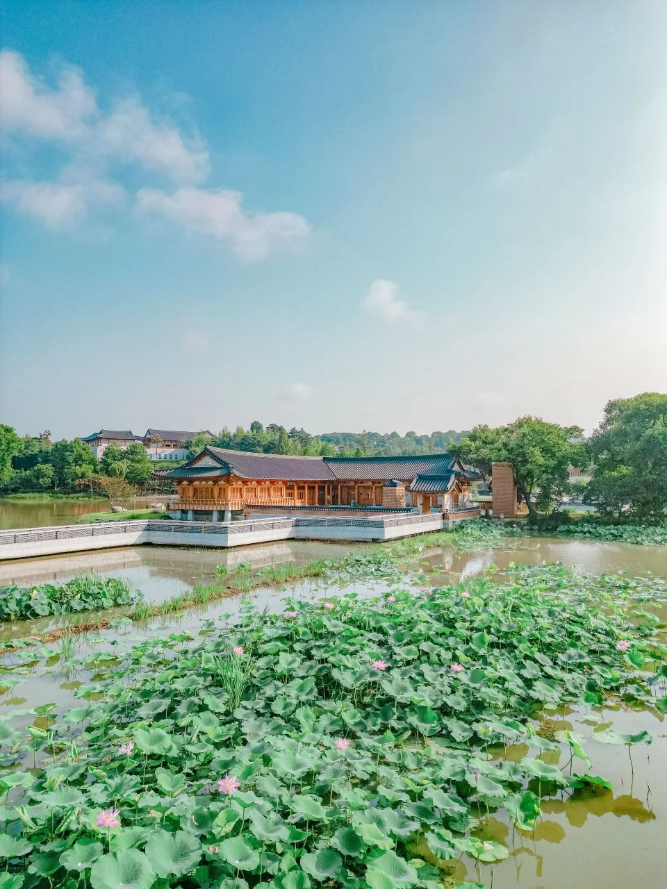연못