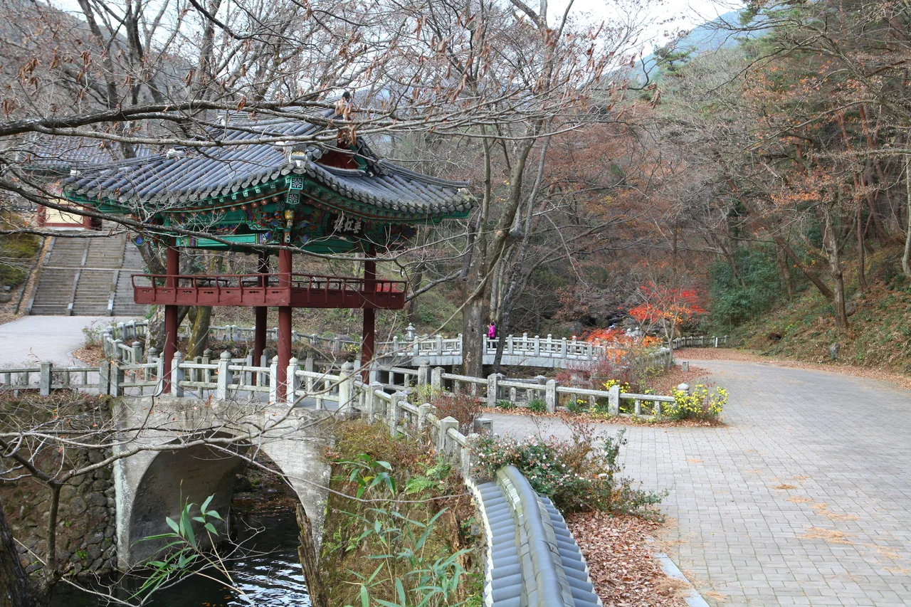 정자