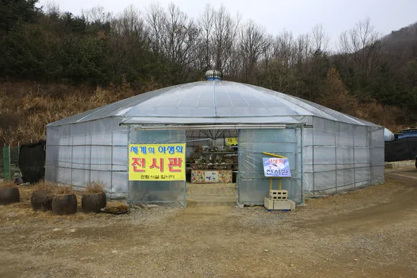 비닐하우스