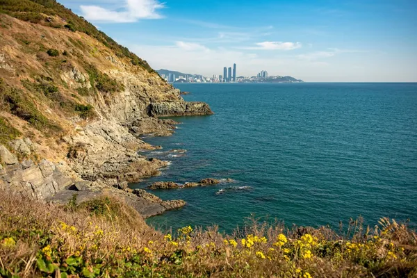 해안 절벽