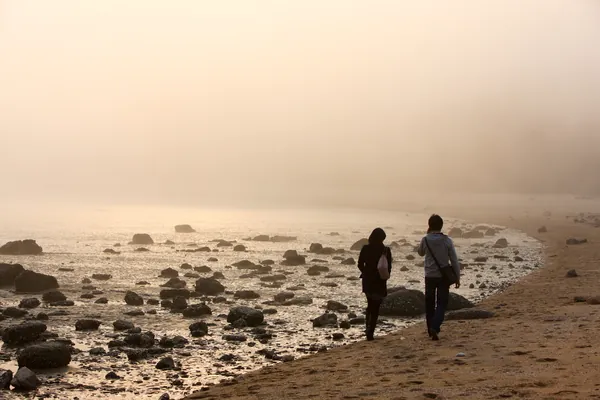해변