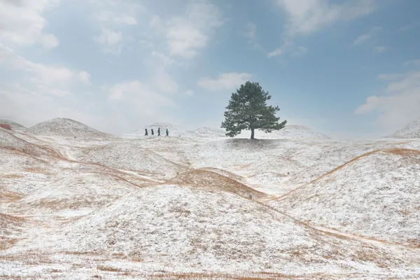 고분