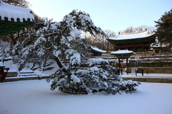 연못