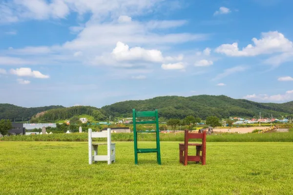 잔디밭