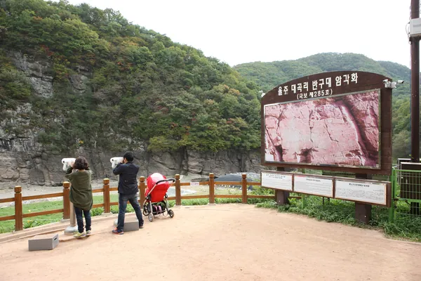 전망대