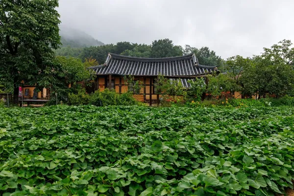 한옥