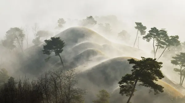 고분