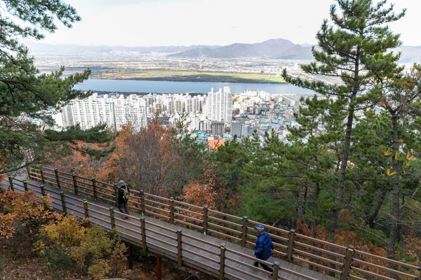 목재 데크로드