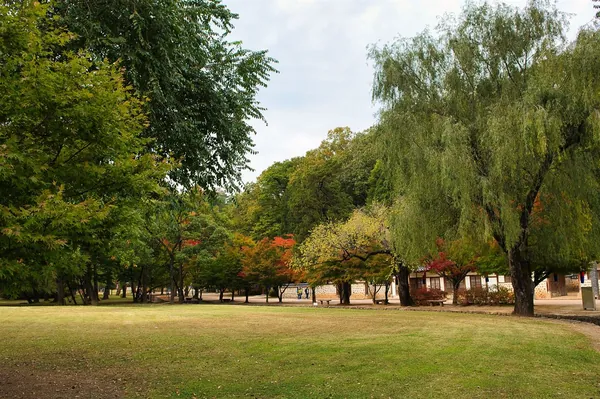 잔디밭